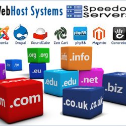 Cheap Web hosting affordable  dedicated servers or VPS and Domain names